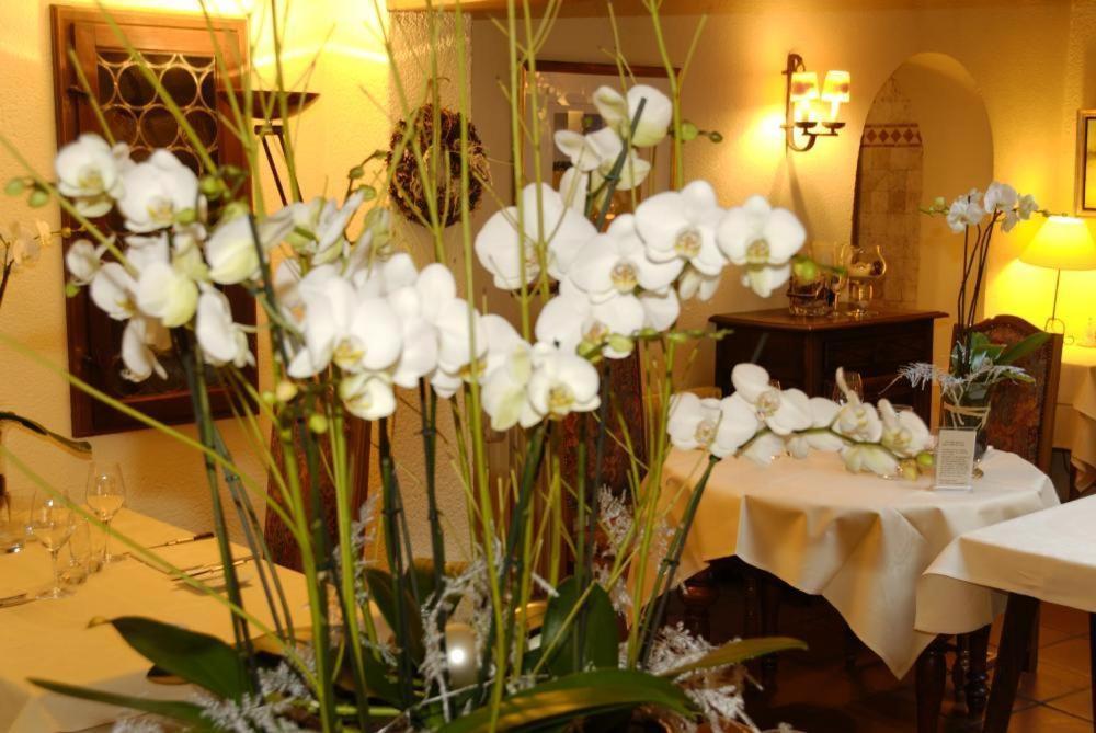 Auberge Saint Laurent Sierentz Esterno foto